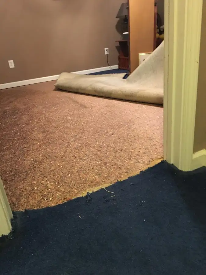 Carpet pad removal revealing water damage during Drying & Dehumidification in Elkins