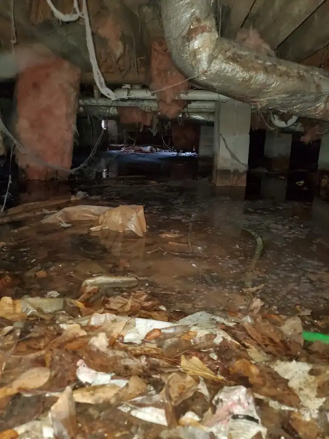 Crawl space flood assessment for Leak Detection & Repair in Elkins