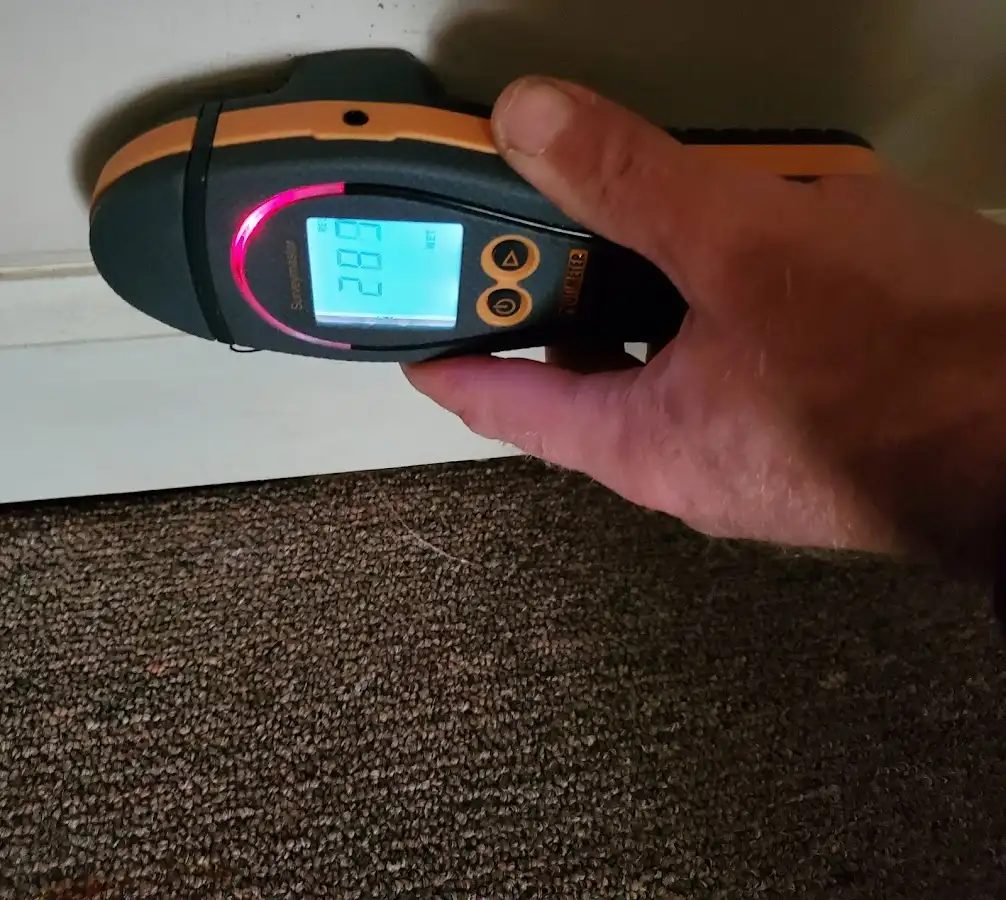 Moisture detection at baseboard during Sewage Cleanup & Sanitation in Elkins